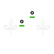 Bloom Roast Coffee